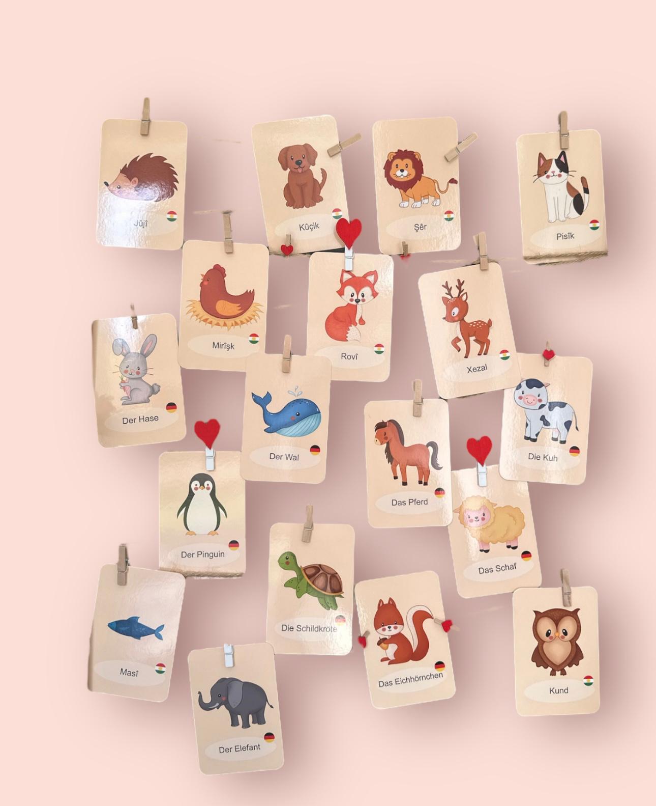Flashcards Animals