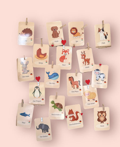 Flashcards Animals
